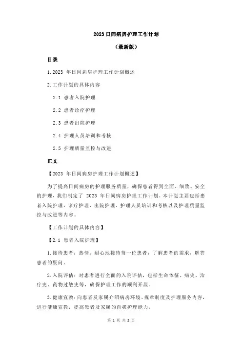2023日间病房护理工作计划