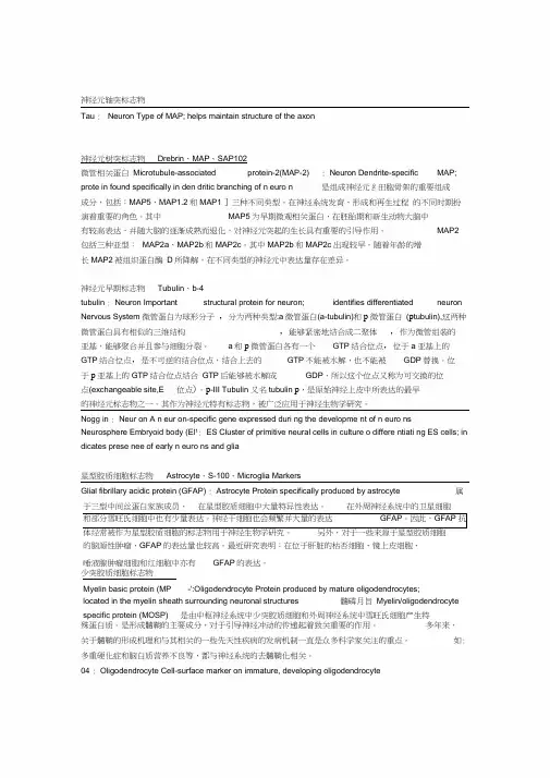 神经系统标志物