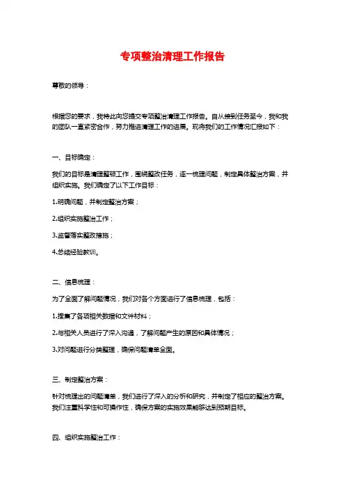 专项整治清理工作报告