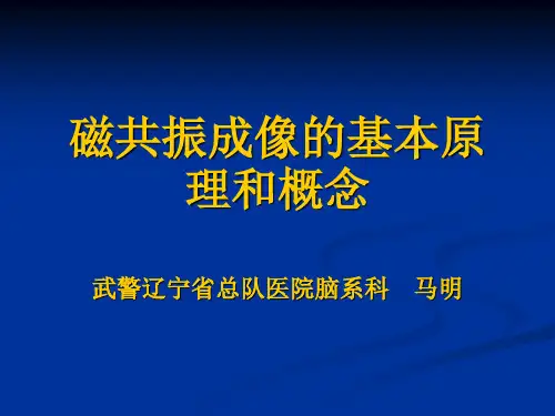 磁共振成像的基本