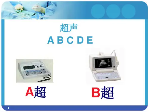 弹性超声简介ppt课件