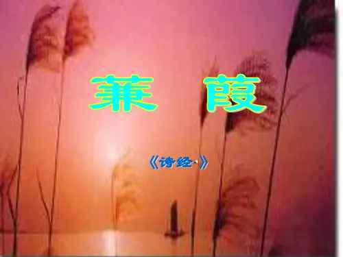 《蒹葭》超级课件
