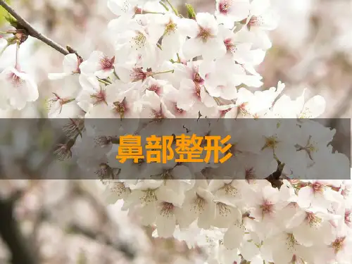 鼻部整形PPT
