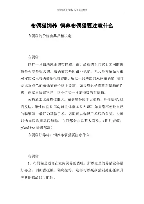 布偶猫饲养,饲养布偶猫要注意什么
