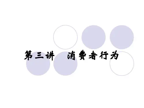 第三讲消费者行为