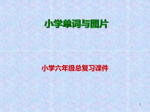小学英语词汇总复习ppt课件