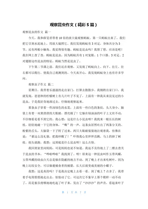 观察昆虫作文(精彩5篇)