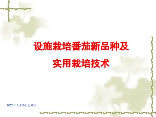 农业技术培训-番茄栽培