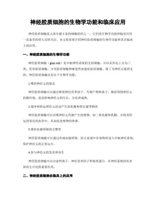 神经胶质细胞的生物学功能和临床应用