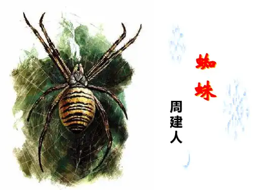 《蜘蛛》教学课件(共15张ppt)