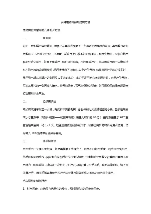 获得植物叶解剖结构方法