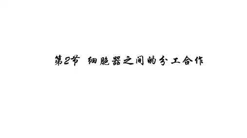 细胞膜的结构和功能课件(共20张PPT)人教版必修1