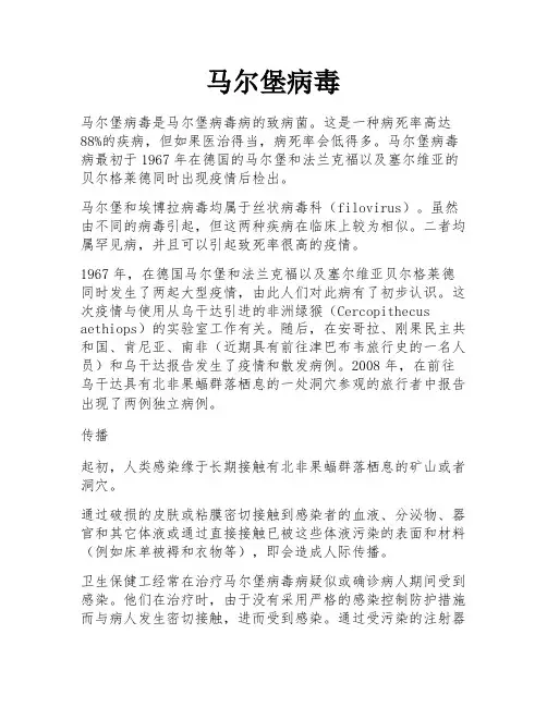马尔堡病毒