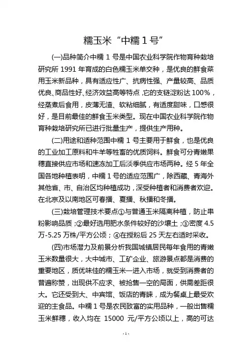糯玉米“中糯1号”