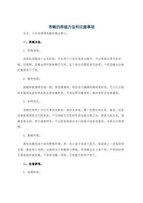 苍蝇的养殖方法和注意事项