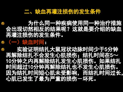 缺血再灌注损伤ppt