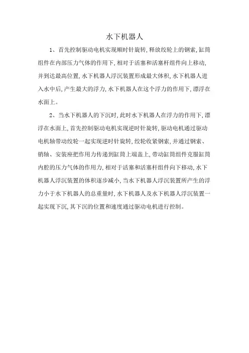 水下机器人