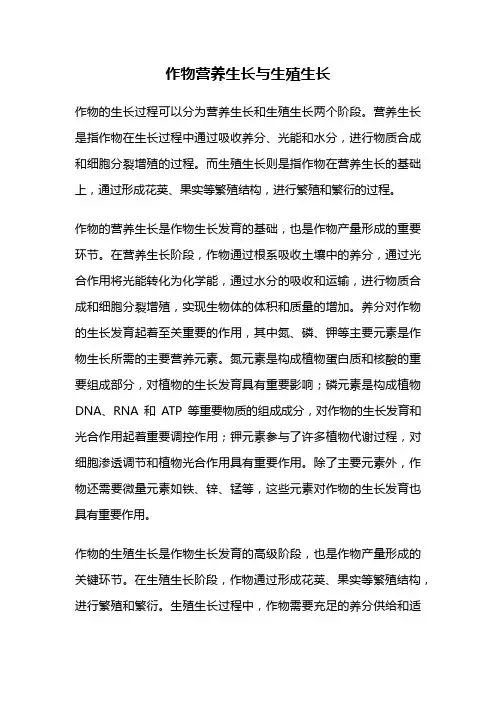 作物营养生长与生殖生长