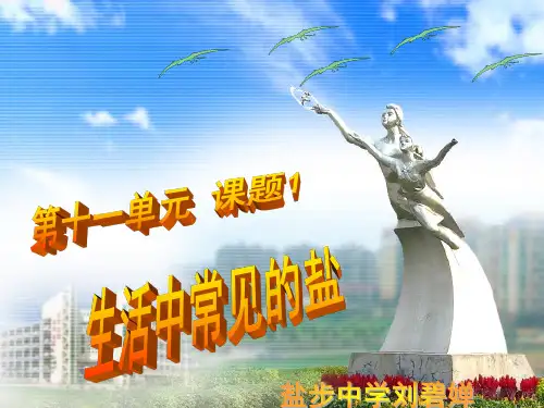 常见的盐PPT课件2 人教版