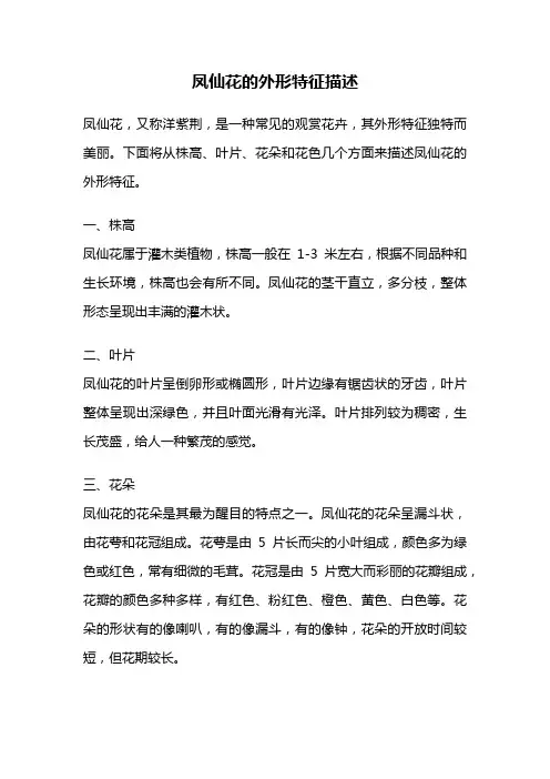 凤仙花的外形特征描述