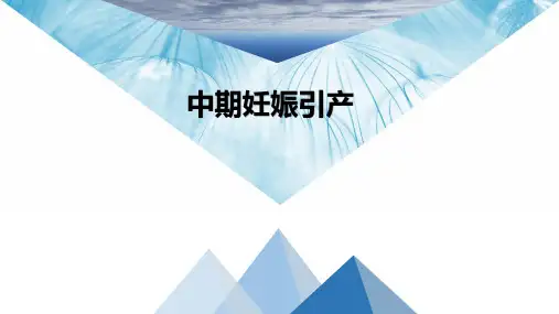 中期妊娠引产 PPT课件