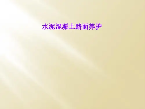 水泥混凝土路面养护