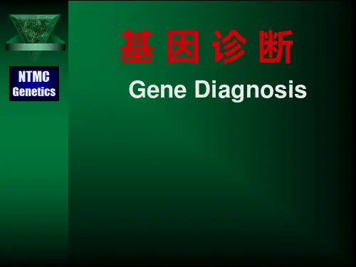 微卫星DNAPCR扩增结果示例