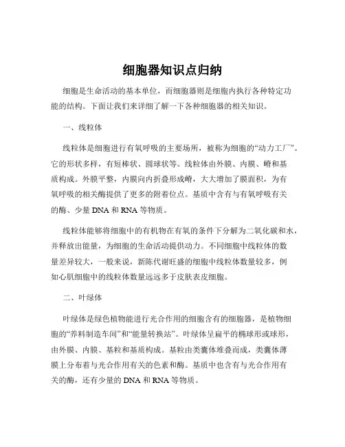 细胞器知识点归纳