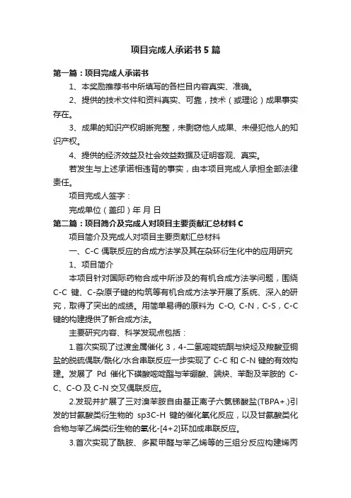 项目完成人承诺书5篇