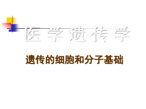 医学遗传学-细胞和分子基础