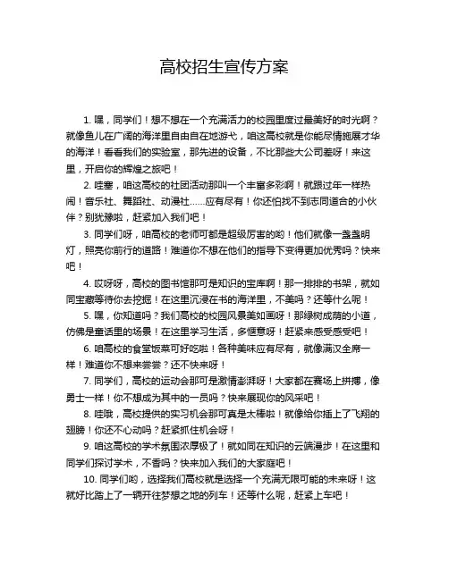 高校招生宣传方案
