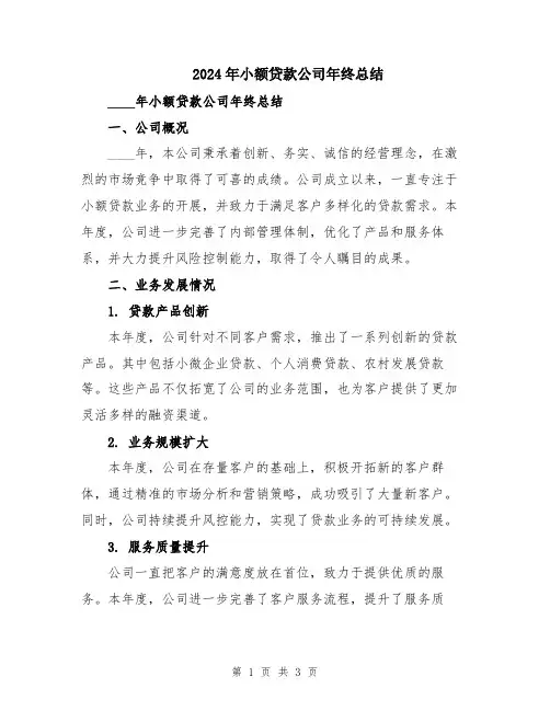 2024年小额贷款公司年终总结