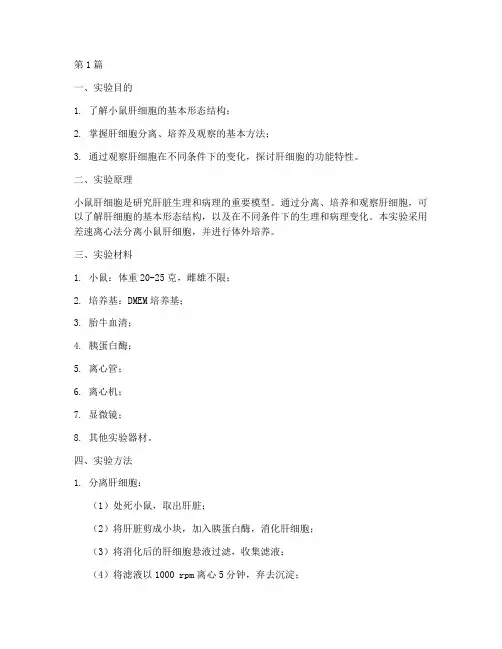 小鼠肝细胞实验报告(3篇)