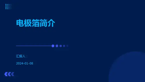 电极箔简介