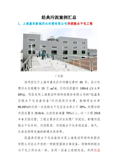 污泥处置实际案例