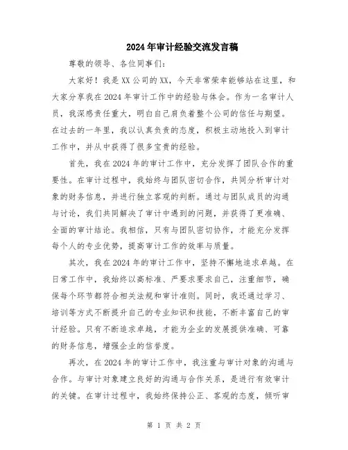 2024年审计经验交流发言稿