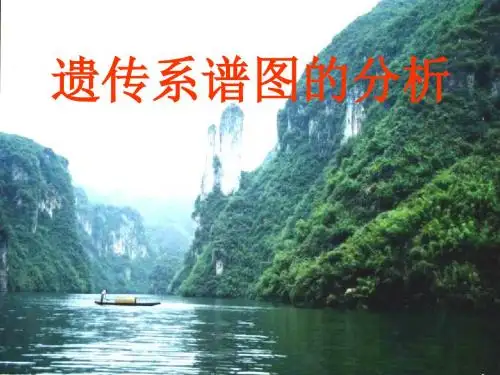 高一生物遗传系谱图的分析(2019)