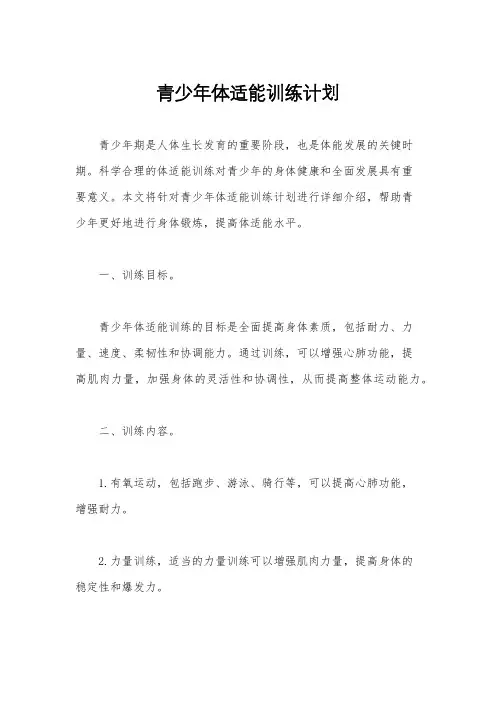 青少年体适能训练计划