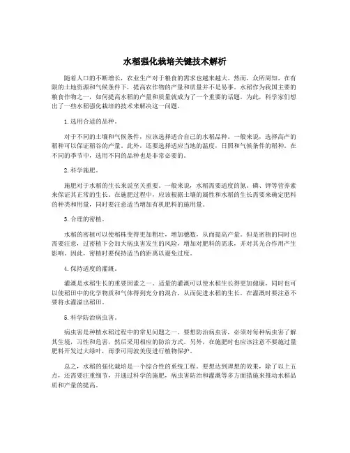 水稻强化栽培关键技术解析