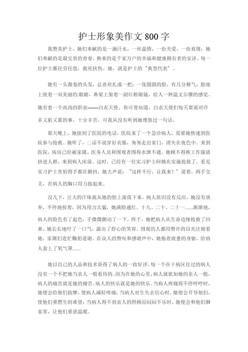 护士形象美作文800字
