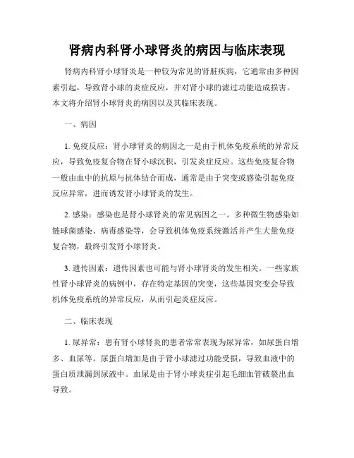肾病内科肾小球肾炎的病因与临床表现