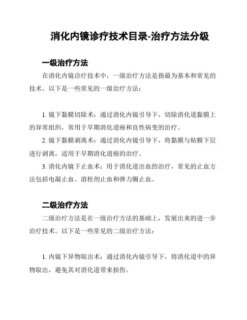 消化内镜诊疗技术目录-治疗方法分级