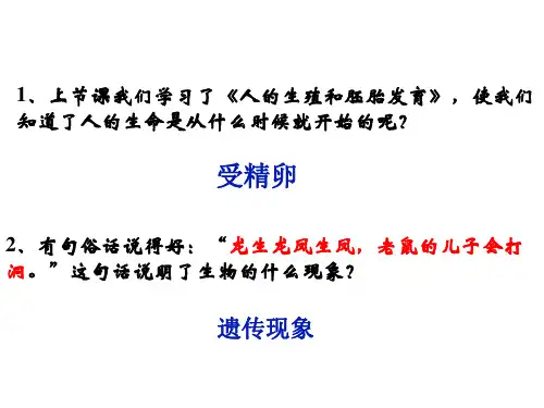 济南版生物八上第四章《生物的遗传和变异》课件(共35张PPT)