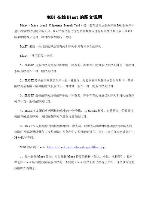 NCBI在线Blast的图文说明