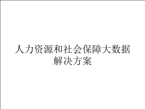人力资源和社会保障大数据(人社大数据)解决方案