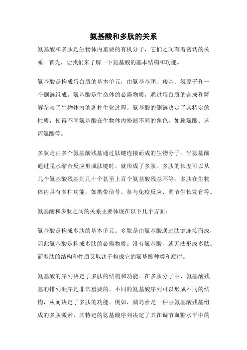 氨基酸和多肽的关系