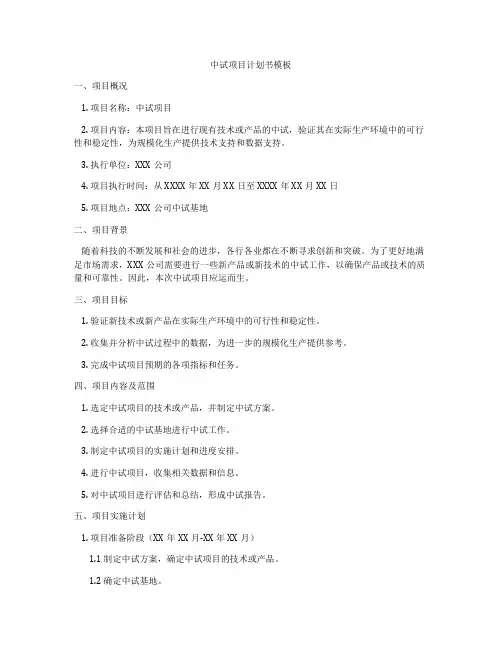 中试项目计划书模板