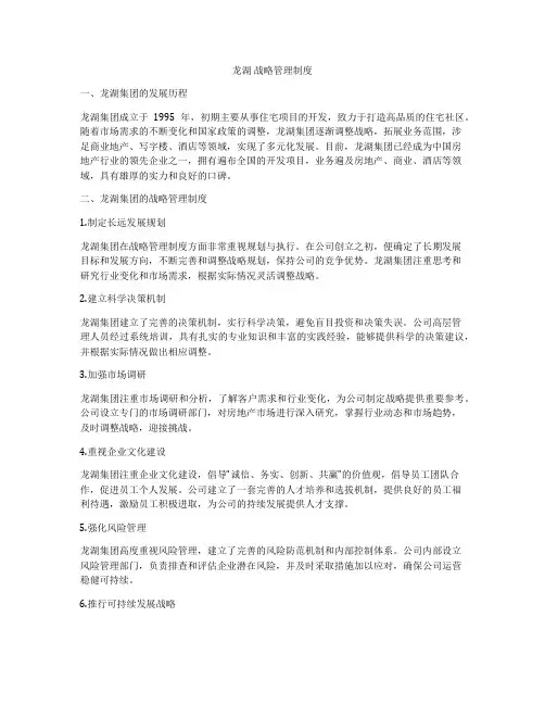 龙湖 战略管理制度