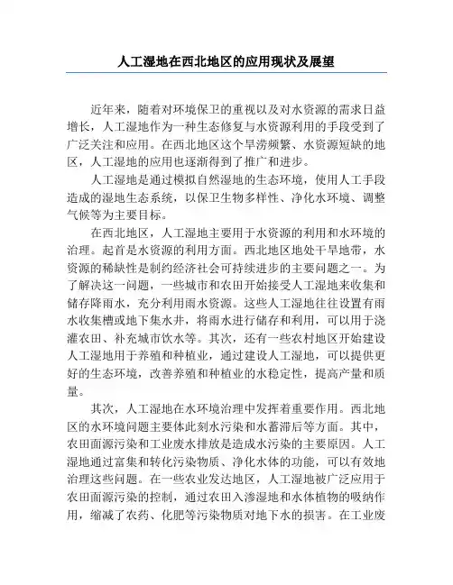 人工湿地在西北地区的应用现状及展望