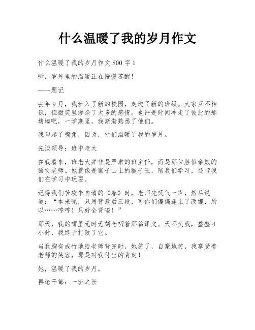 什么温暖了我的岁月作文